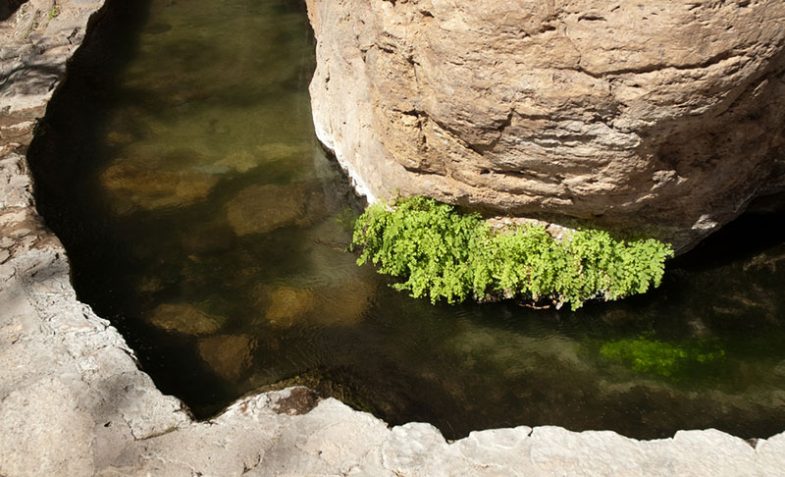 Montezuma Well National Monument