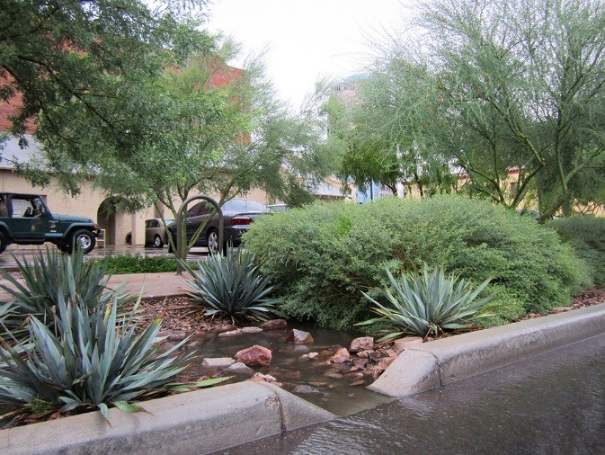 Scott Avenue in Tucson - Credit Wheat Design Group