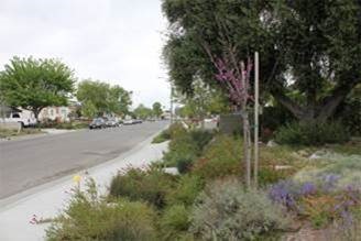 Stormwater Management After - Credit: Council for Watershed Health
