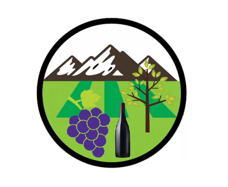 vinyards