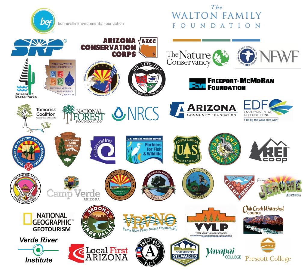 Partners Working Together in the Watershed