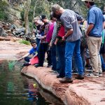 Oak Creek Watershed Testing Flow in Oak Creek