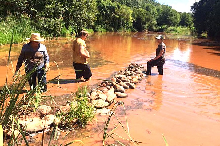 Verde River - Norton and Bitz