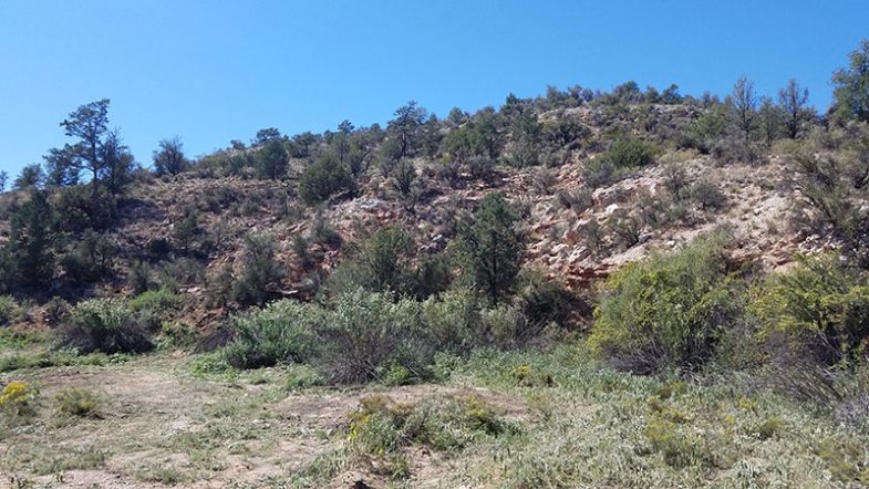 Blanco Tank After 4 After Tamarisk Removal