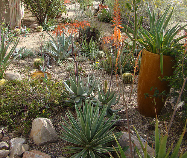 EPA WaterSense landscaping