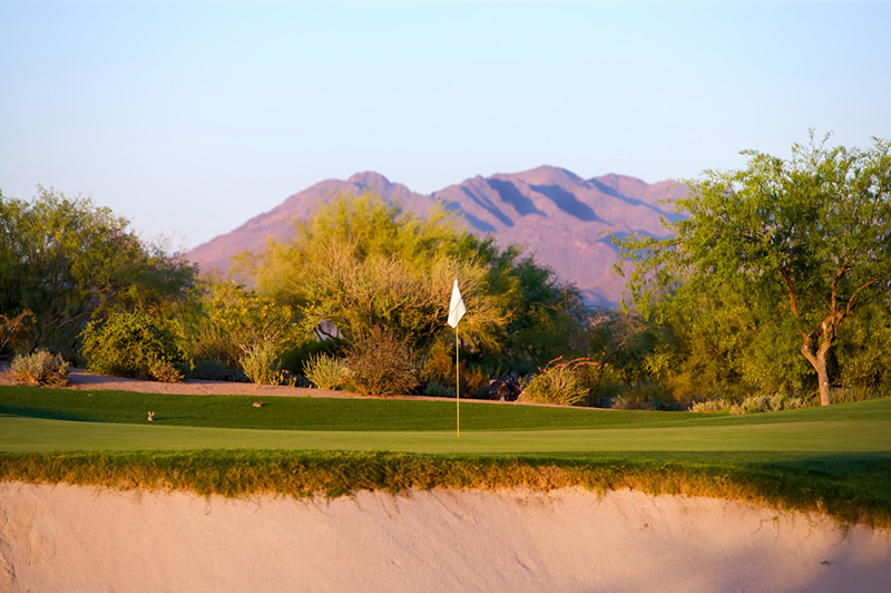 Golf Course in Arizona