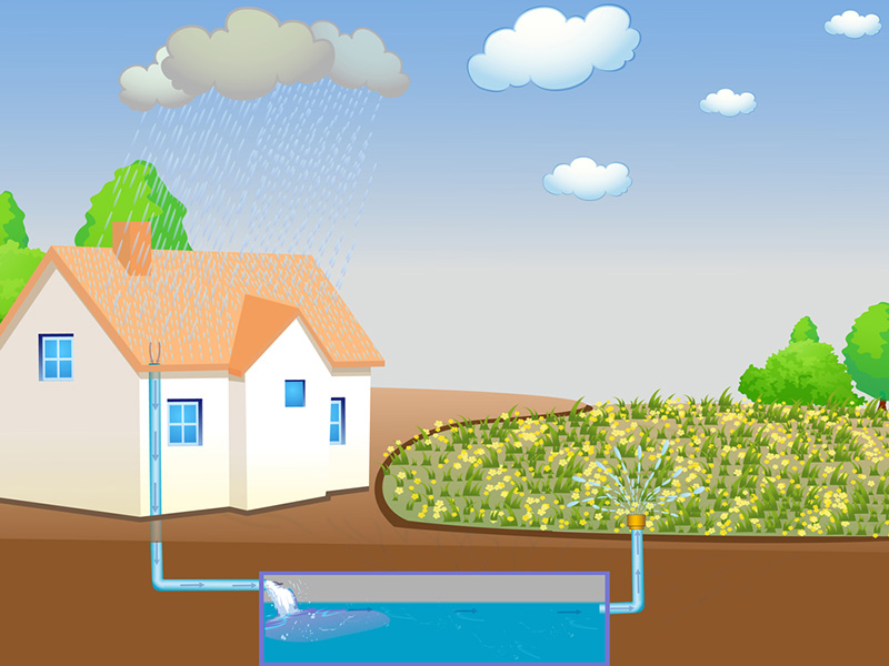 Home with Rainwater Harvesting System