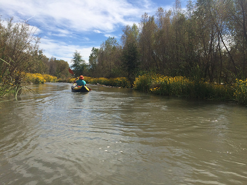 Kayaker on the Verde River