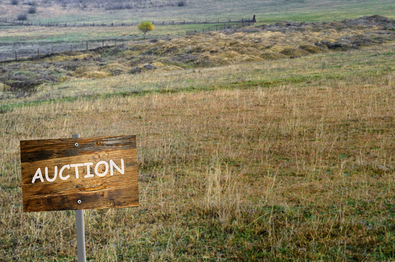 Land Sold at Auction