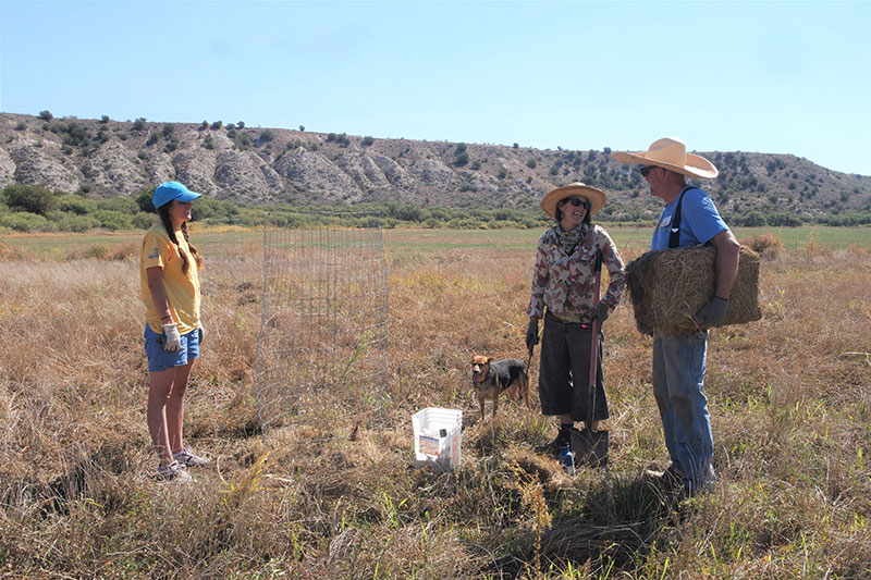 Pollinator Volunteers Pollinator Volunteers