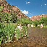 Upper Verde River