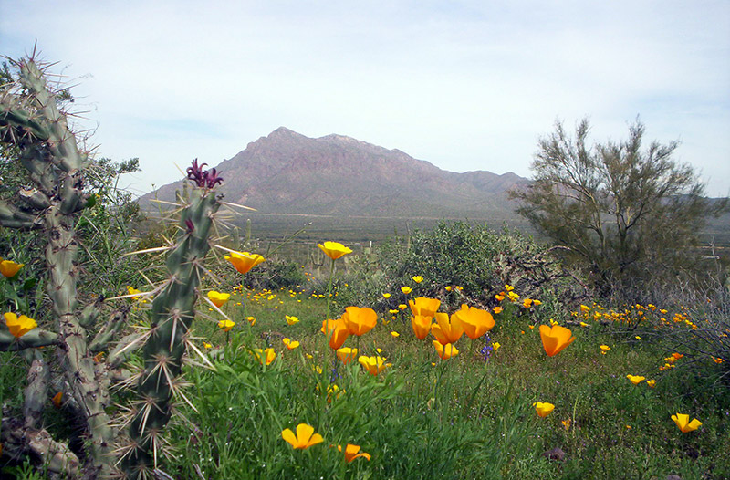 State Trust Lands State Trust Lands