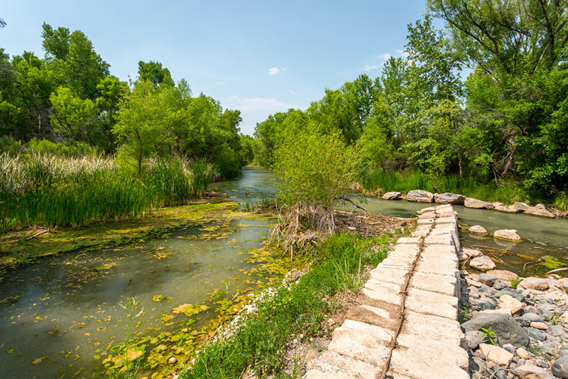 Verde River Arizona