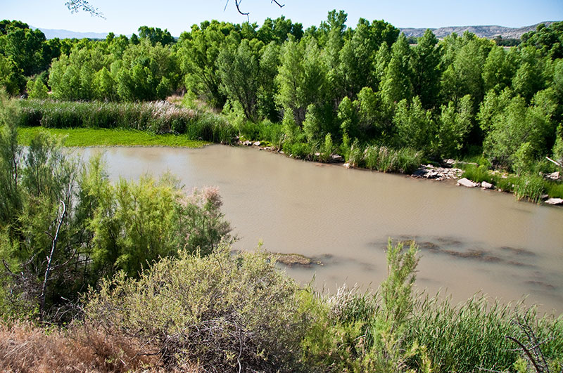 The Verde River