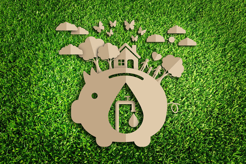 Water Conservation Piggy Bank