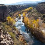 Middle Verde River by Doug Von Gausig