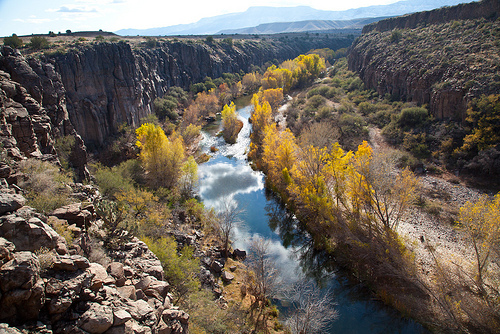 Middle Verde River by Doug Von Gausig