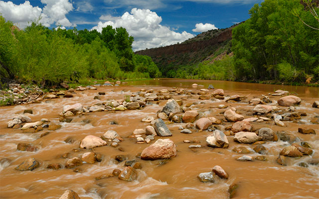An Oasis in the Desert - Restoring the Verde River