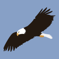 bald-eagle-clip-art bald-eagle-clip-art