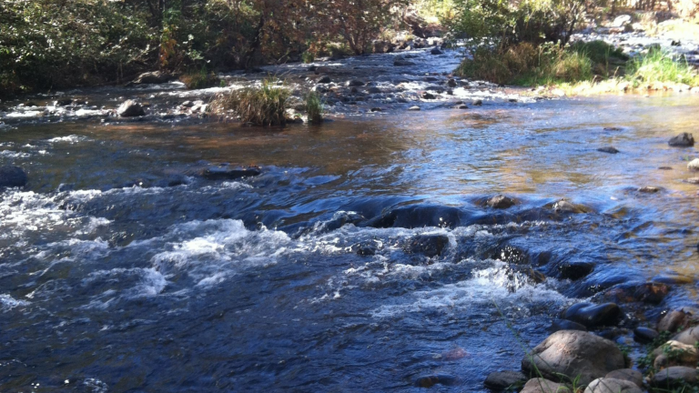river-banner-background river-banner-background
