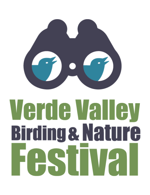 vvbnf-logo-crop vvbnf-logo-crop