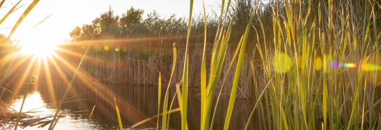 River Friendly Businesses fund $10,000 in grants for 2023